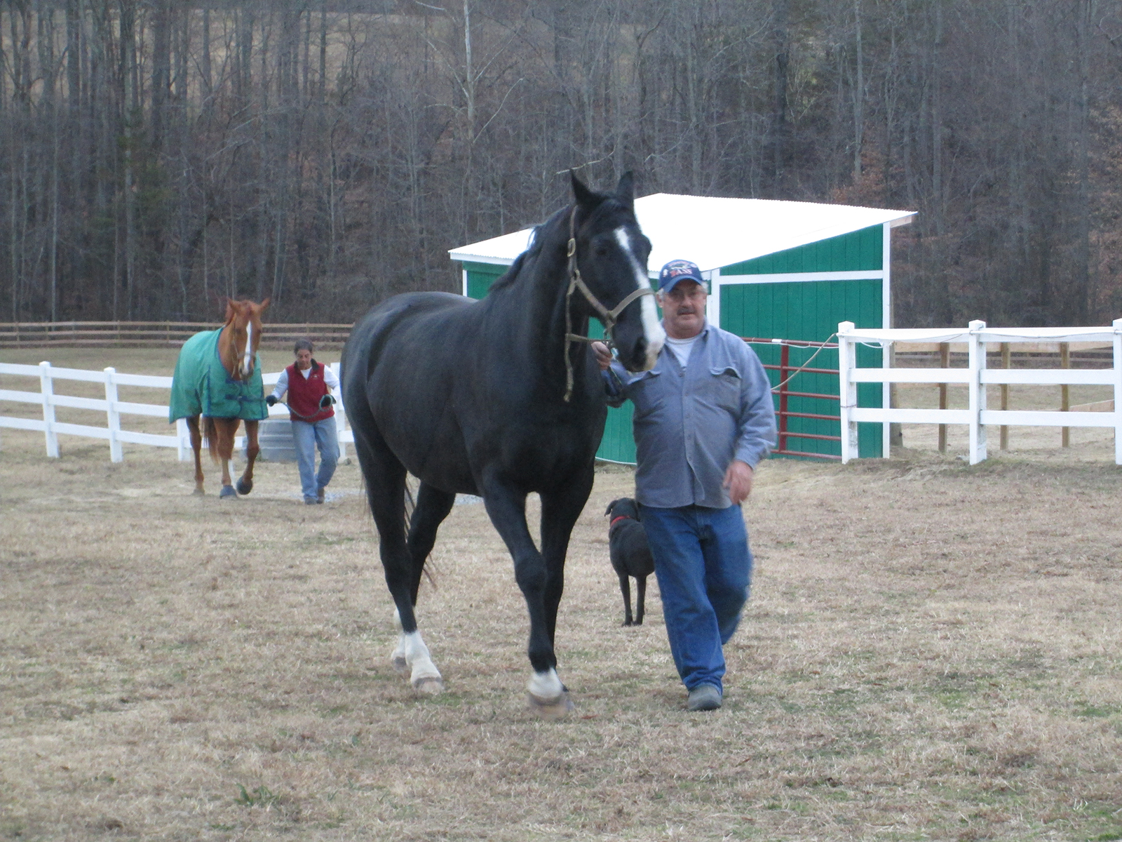 Beth and Somebody Else's Horse